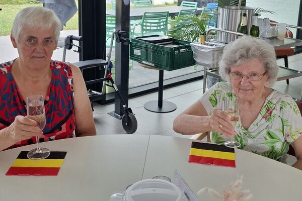 belgische nationale feestdag = frietjesdag '25