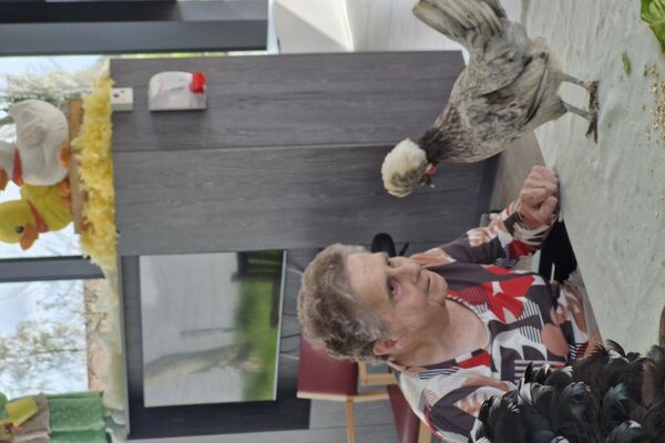 aaidieren '26