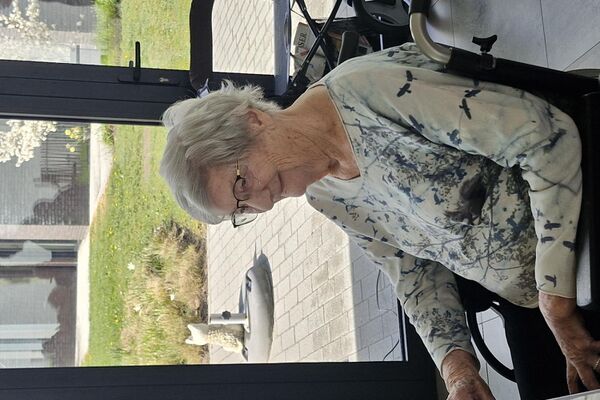 aaidieren '26