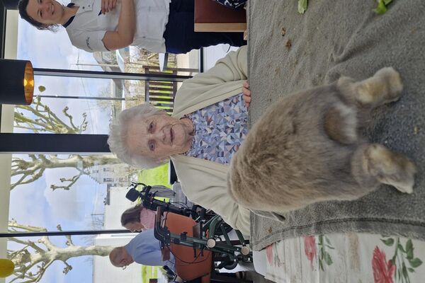 aaidieren '26