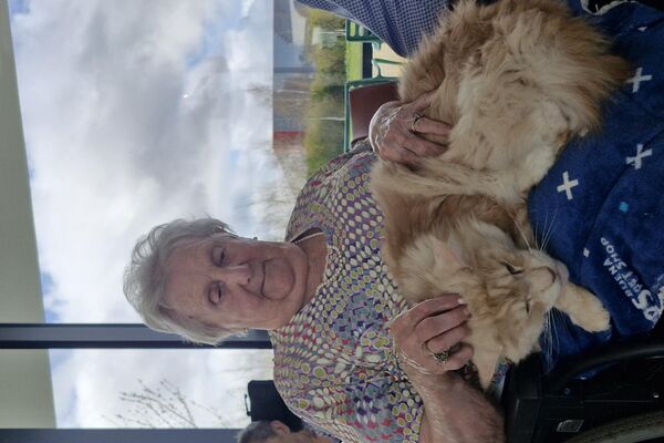 aaidieren '26