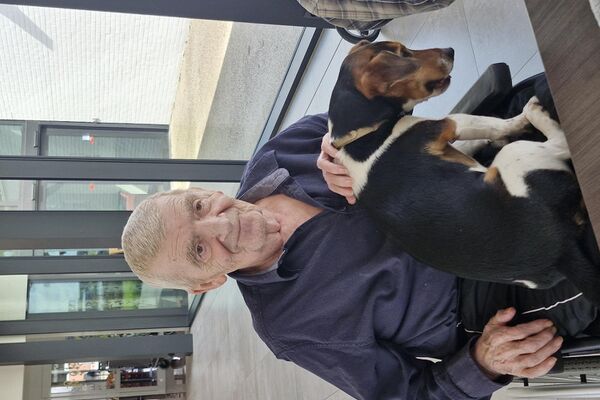 aaidieren '26