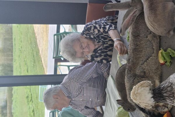 aaidieren '26