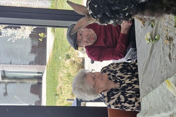 aaidieren '26