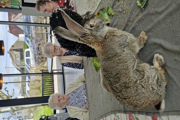 aaidieren '26